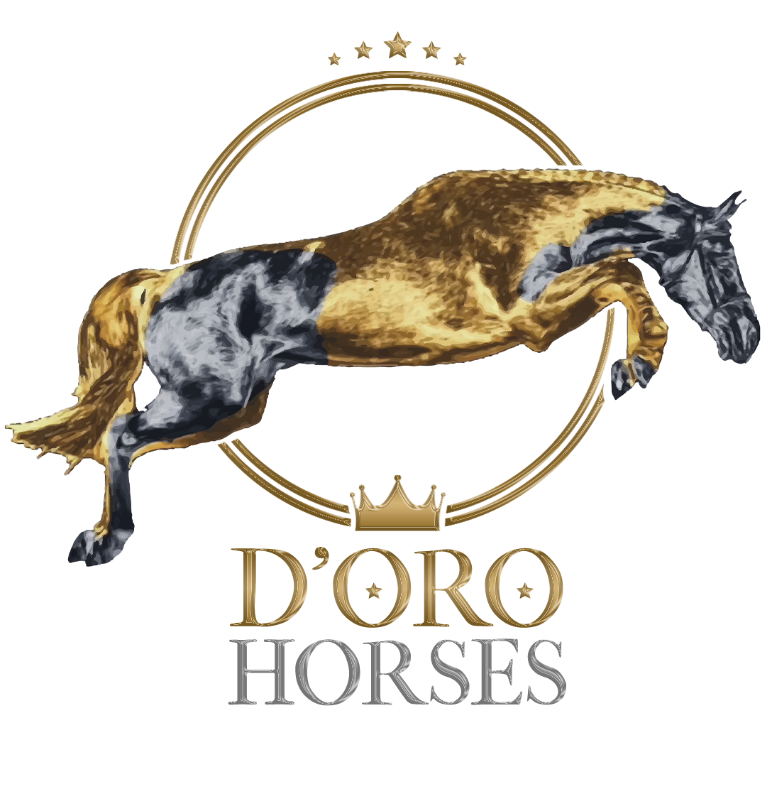 doro_logo